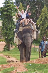 Chris Huberts (BUS '09) explores India via elephant.