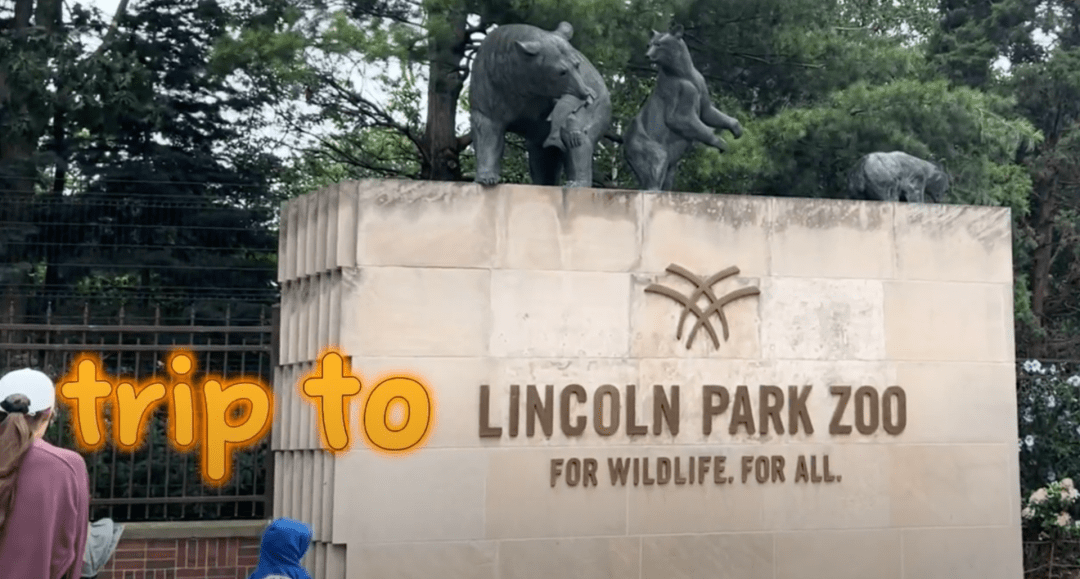 A Trip to the Lincoln Park Zoo