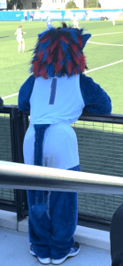 Image of Dibs at the soccer game