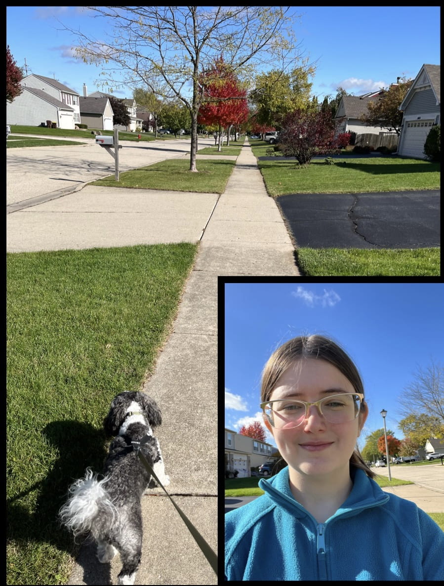 Sienna in a blue jacket is in the bottom right corner. A black and white dog walking on a sidewalk. 