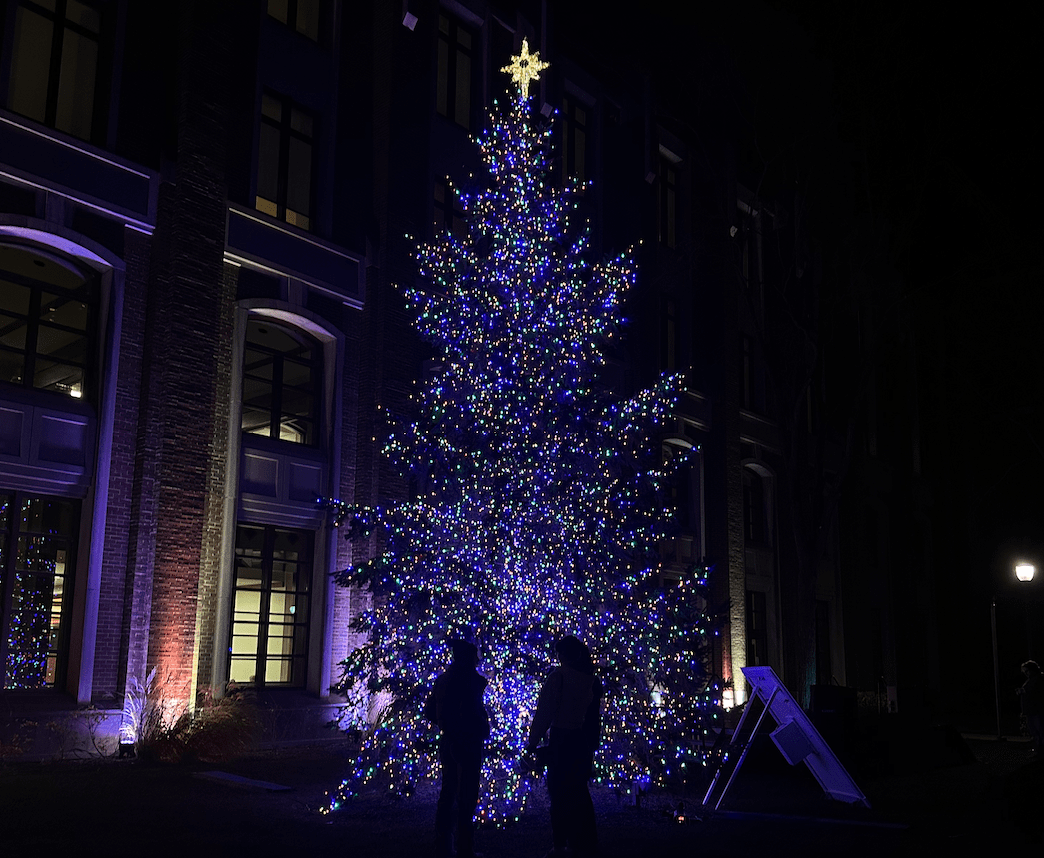 An image of a decorated Christmas tree.