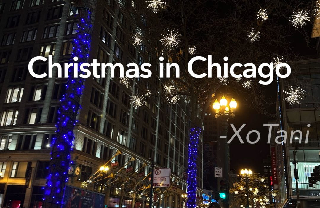 My glance at Christmas in Chicago: tree lighting + Chirstkindlmarkt