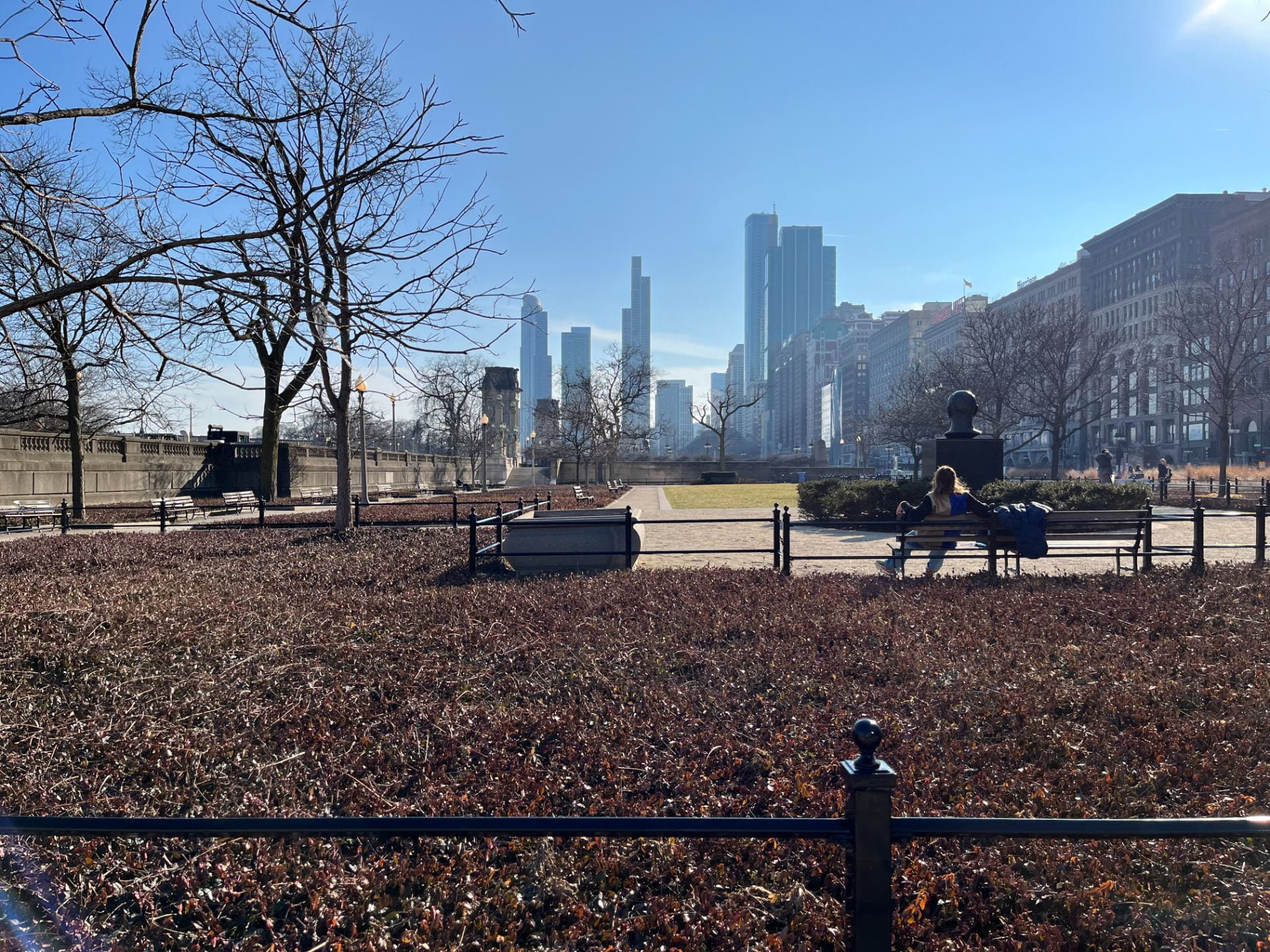 Chicago park with benches, trees and brush, with the Chicago Skyline in the background.