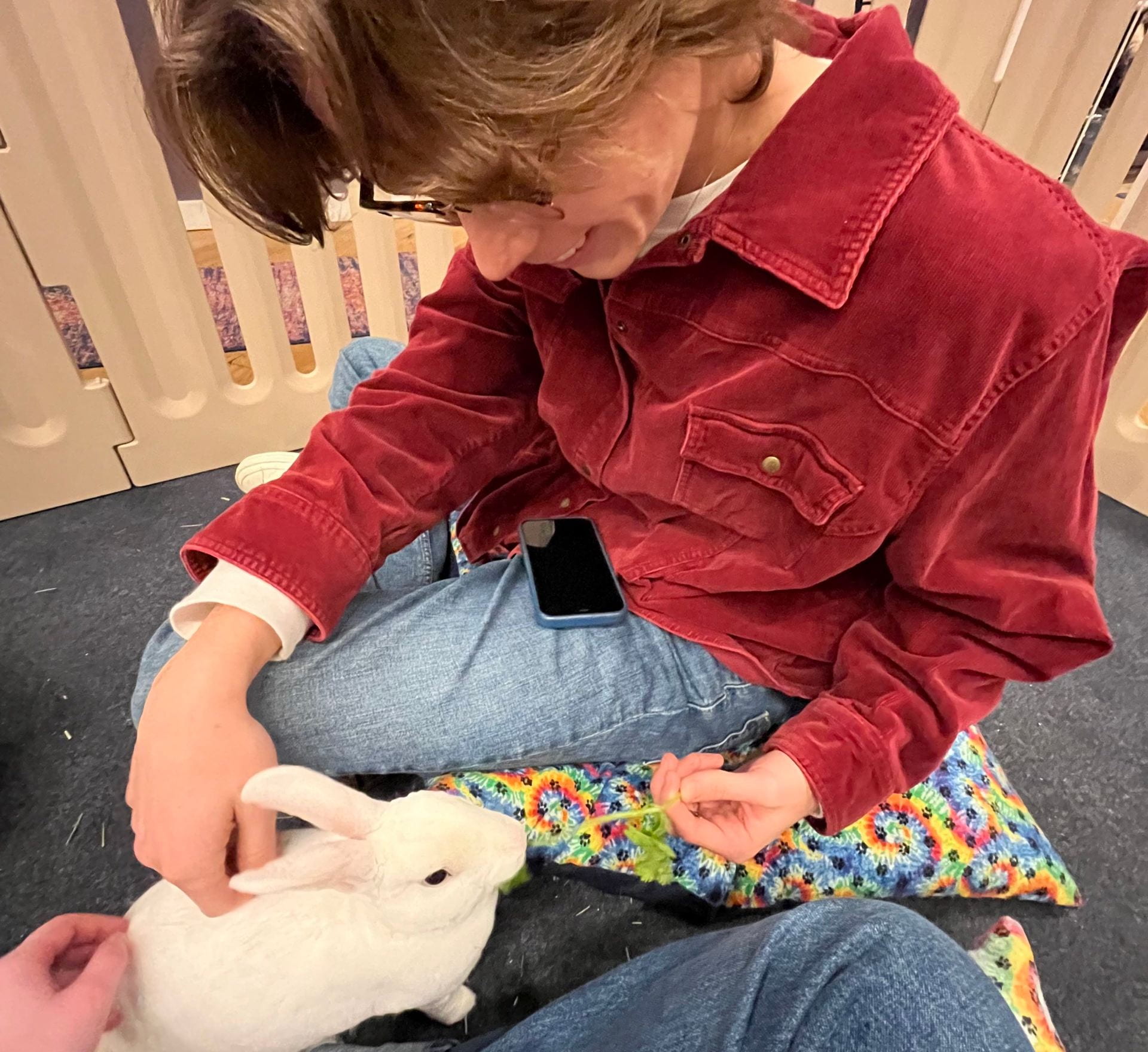 DePaul University student Jeff feeds a bunny at a local bunny cafe in Chicago.