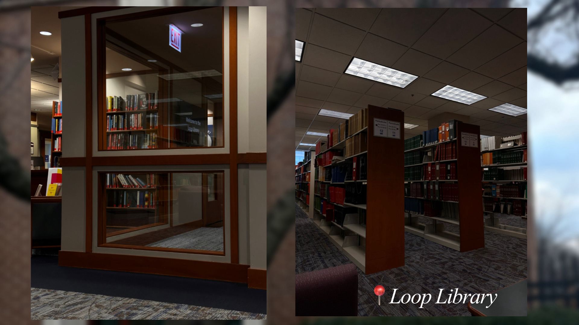 : Two images of a building’s interior (Library Loop)