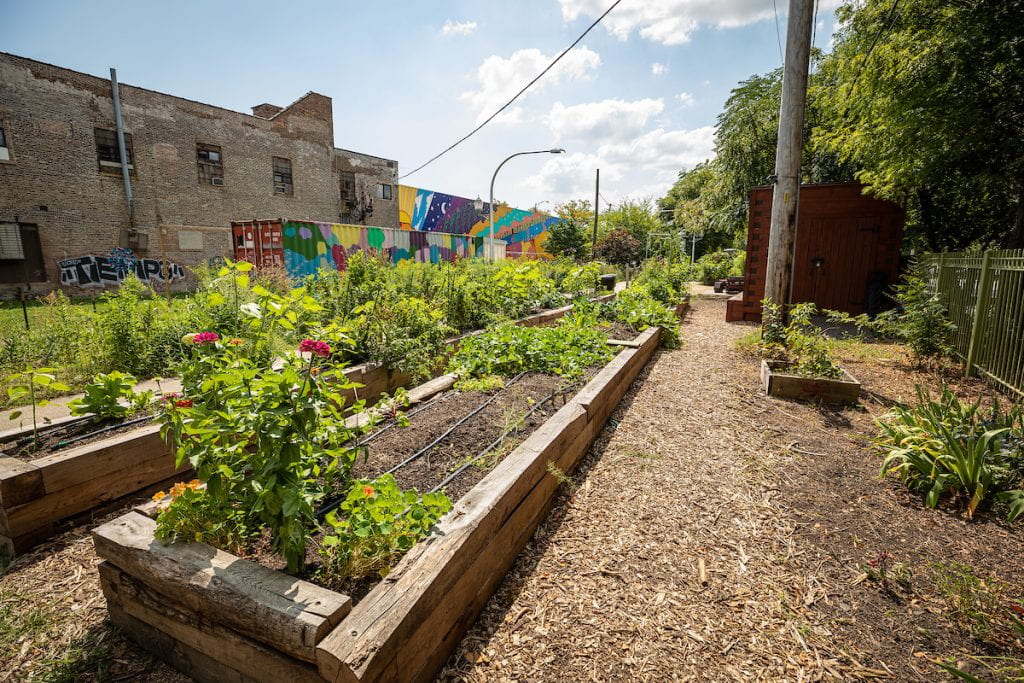 A sunny garden patch with two long rows of raised beds next to a muraled brick building.